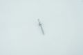 Picture of BLIND RIVET 3/16 BRAZIER HEAD/100